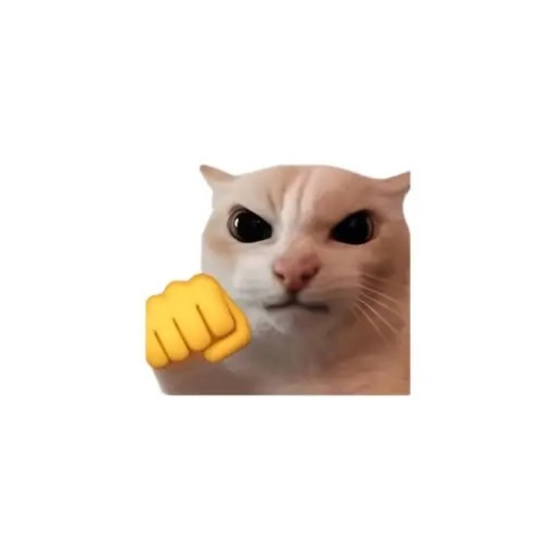 cat meme khoảnh khắc hài hước của mèo con