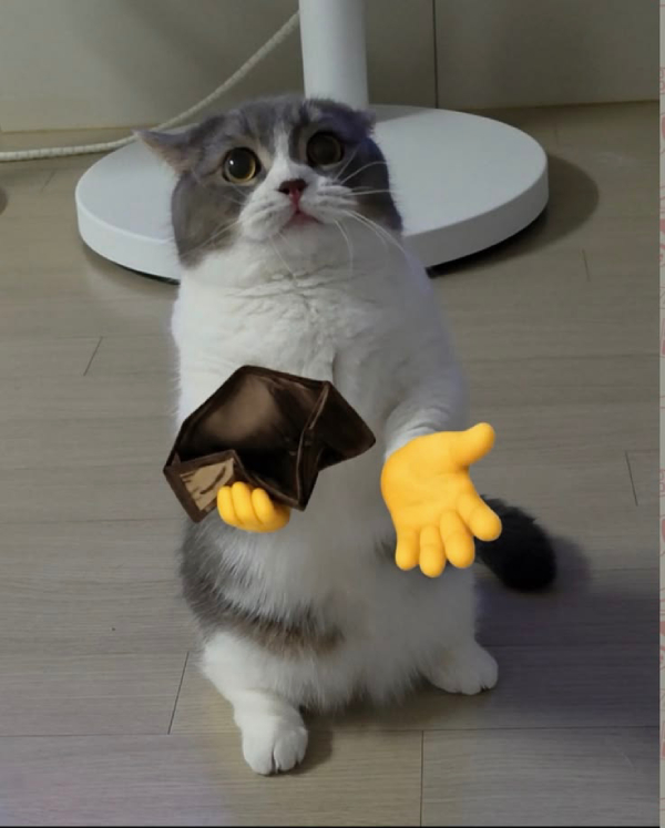 hình ảnh meme hết tiền