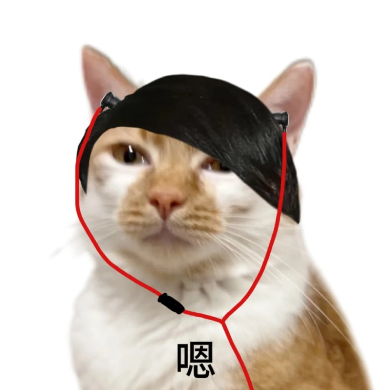 hình ảnh meme mèo bựa