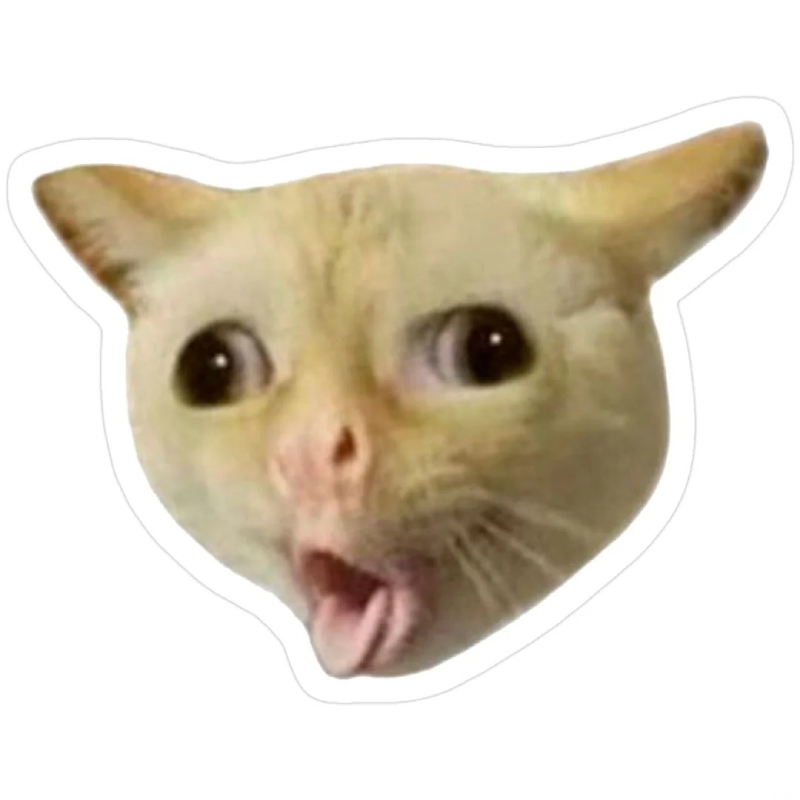 hình ảnh mèo meme đáng yêu