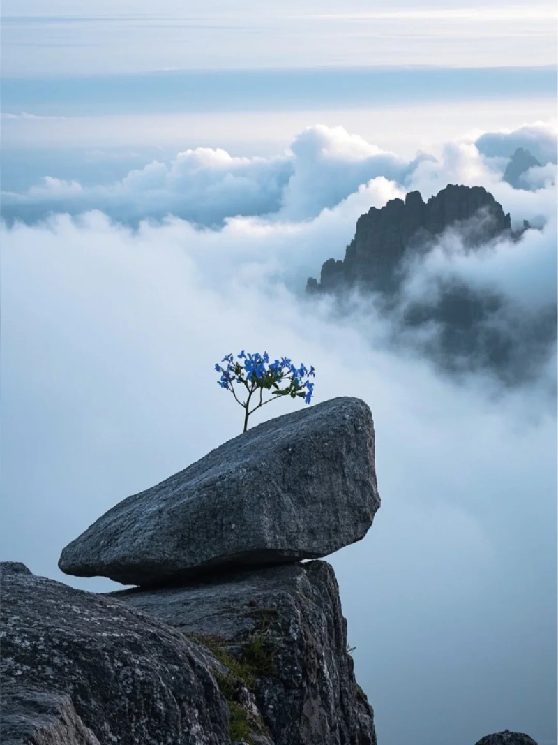 hình ảnh thiên nhiên trong lành