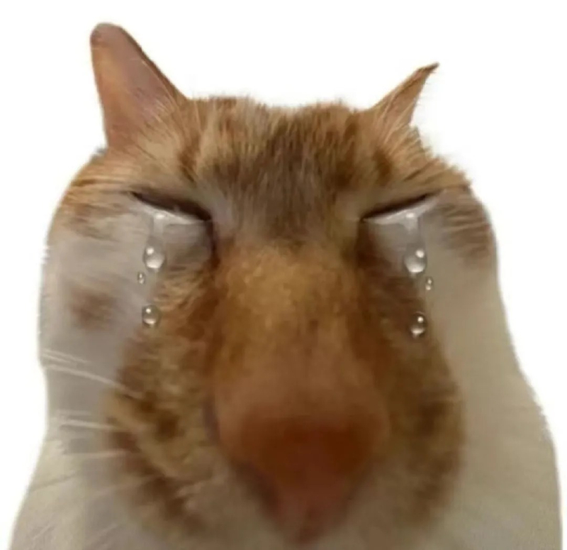 hình meme khóc buồn