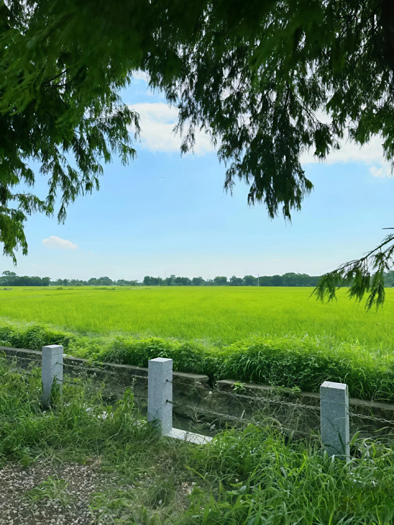 hình phong cảnh thiên nhiên đẹp mắt
