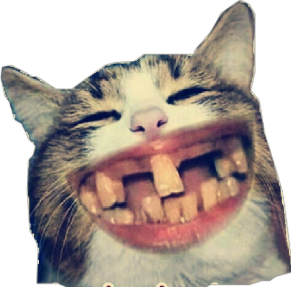 meme cười biểu cảm hài