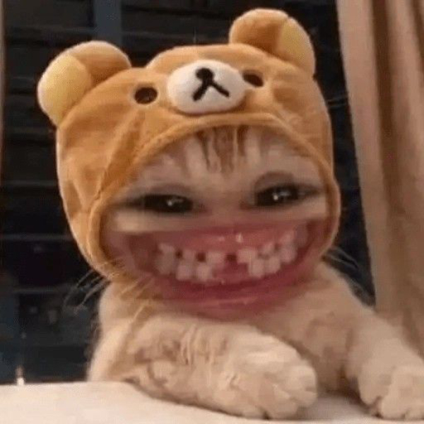 meme cười dễ thương