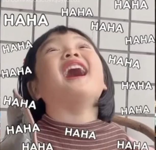meme cười hài hước trên mạng