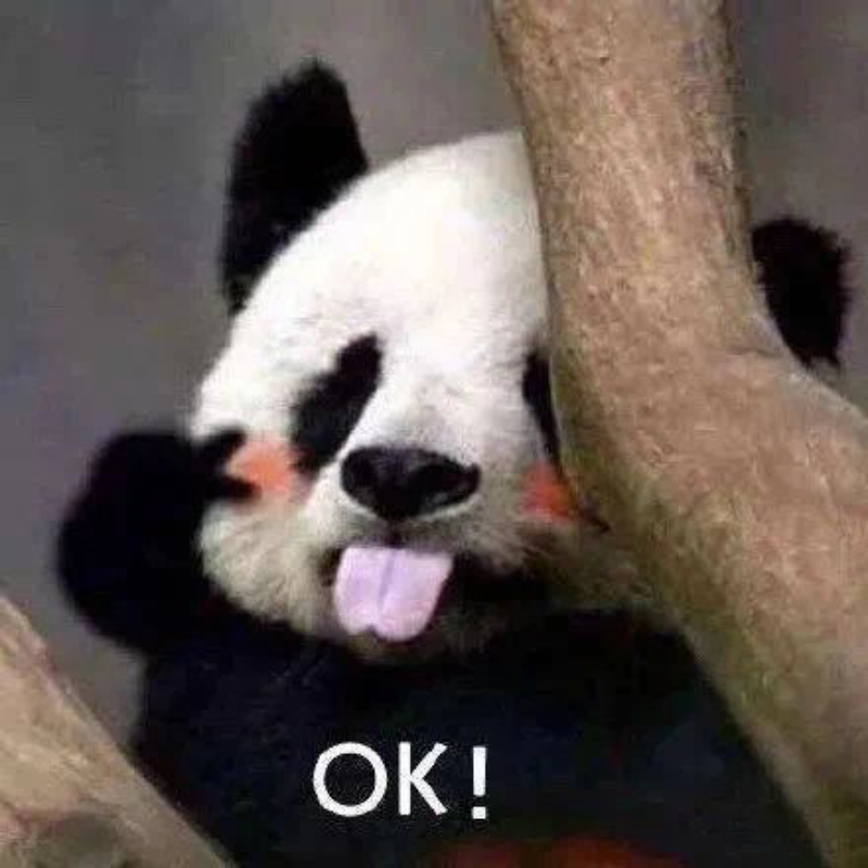 meme gấu trúc bựa weibo