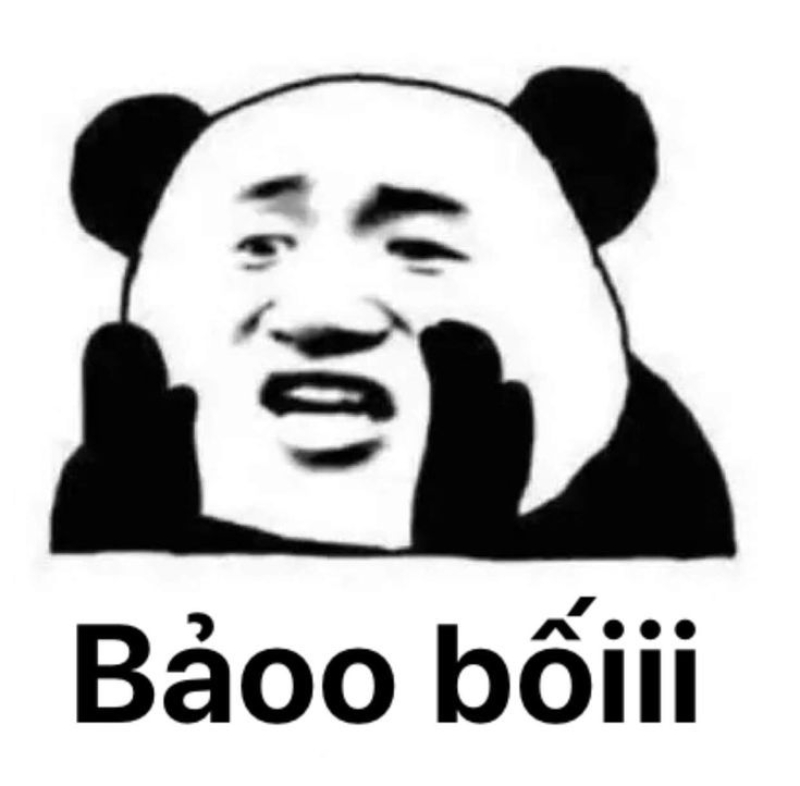 meme gấu trúc cute