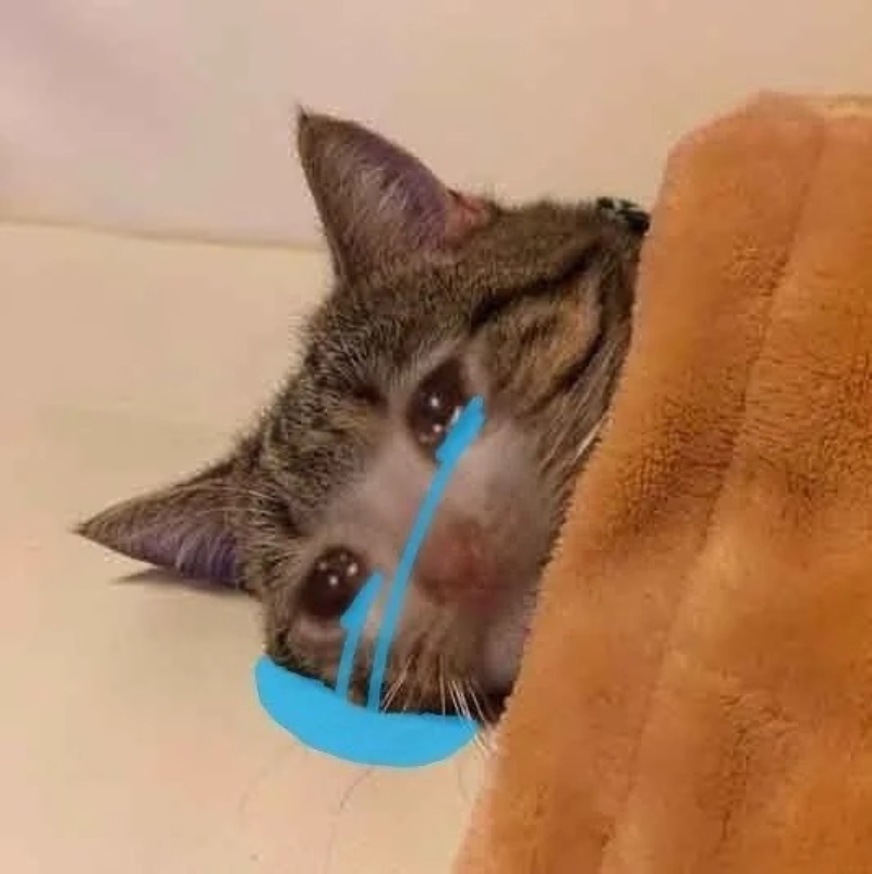 meme khóc lóc buồn cười