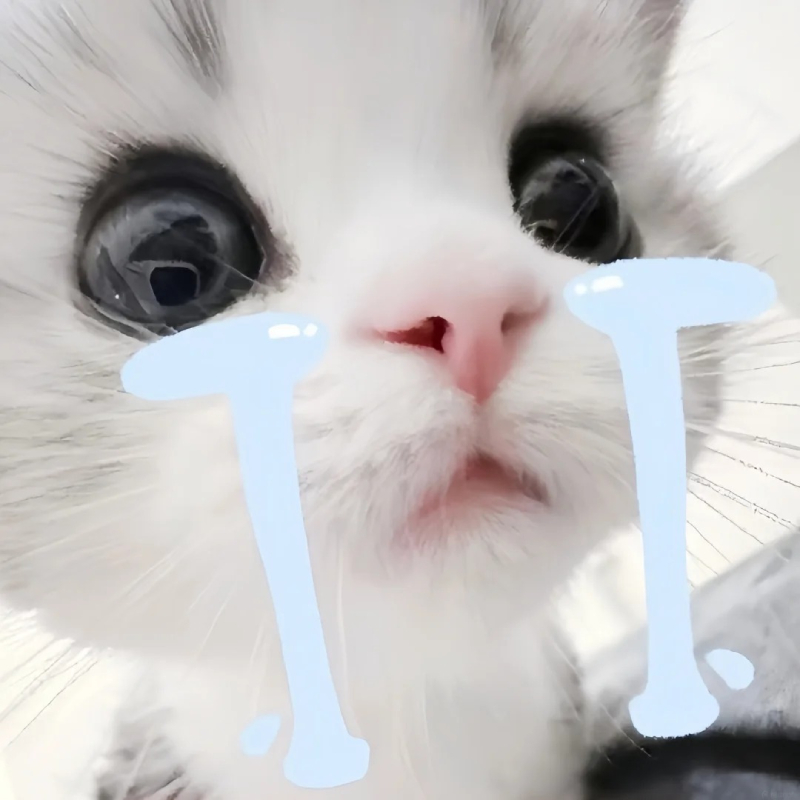 meme khóc lóc ngập nước mắt