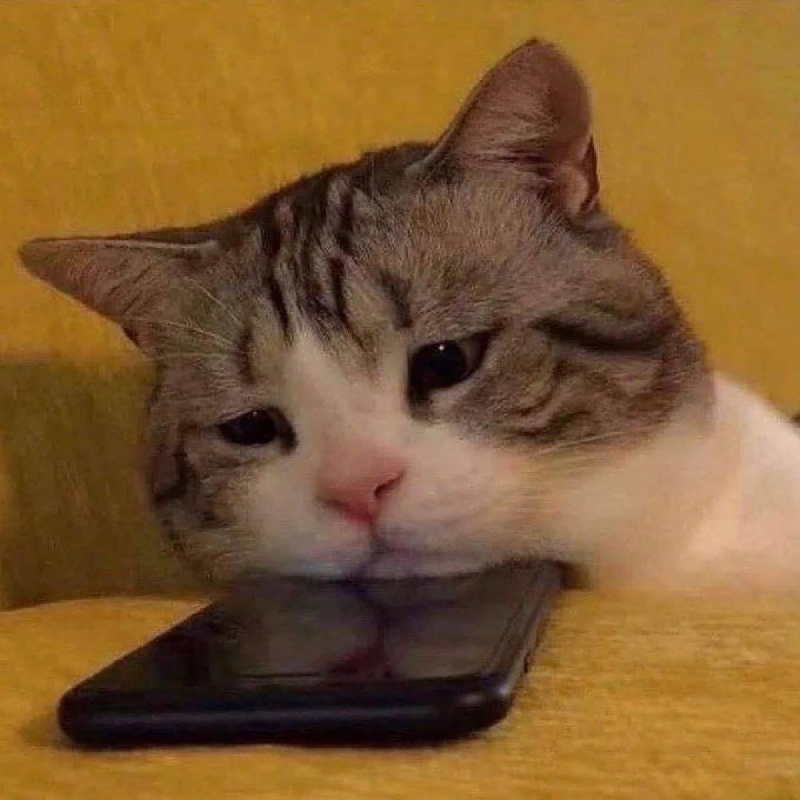 meme khóc lóc ngộ nghĩnh