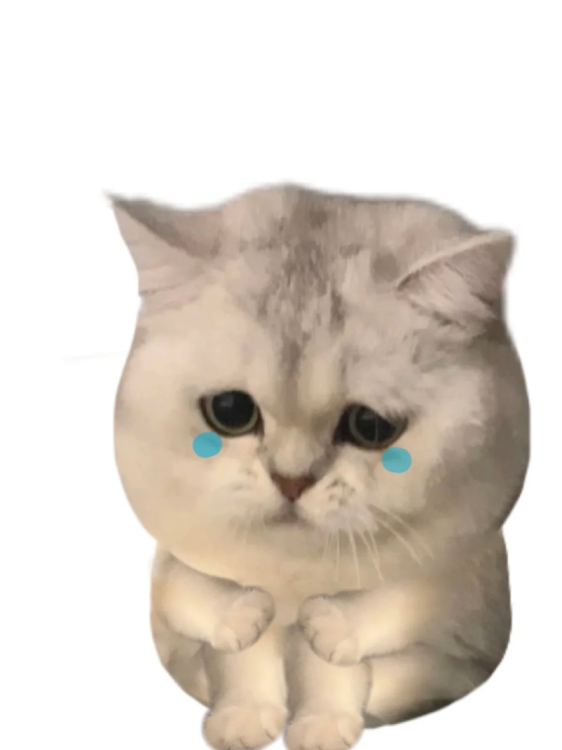 meme khóc lóc