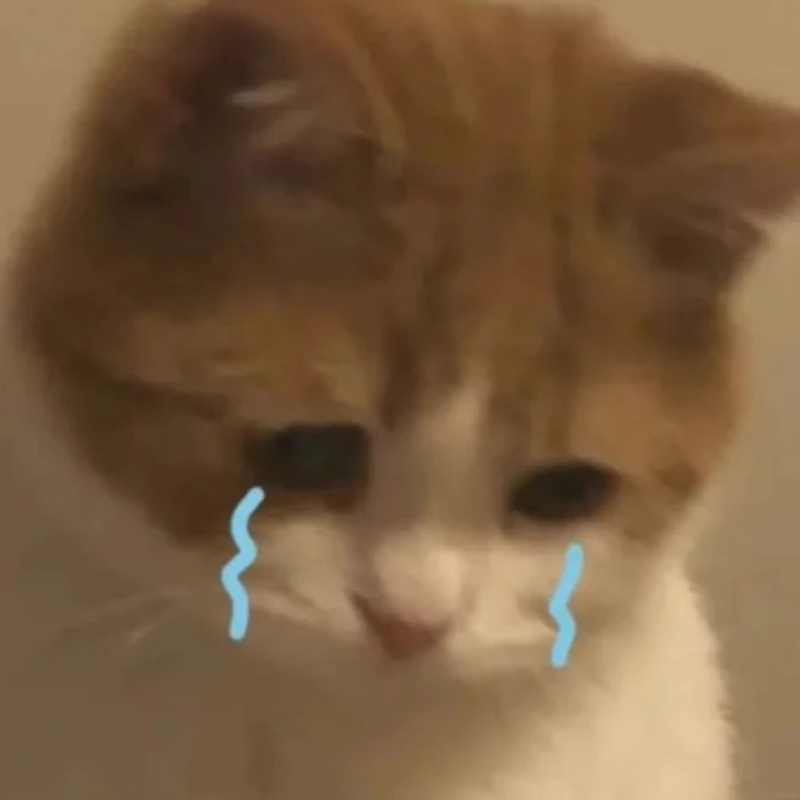 meme khóc nước mắt tuôn