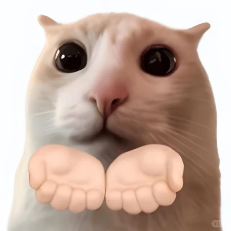 meme mèo bựa cầm súng