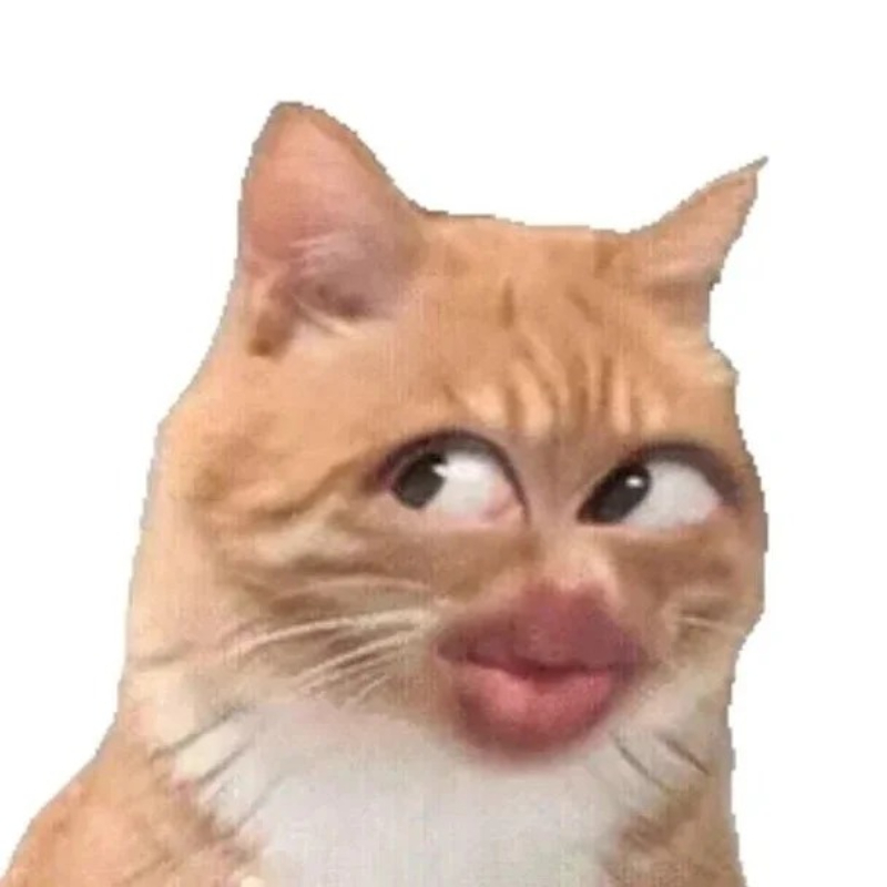 meme mèo bựa cực hài