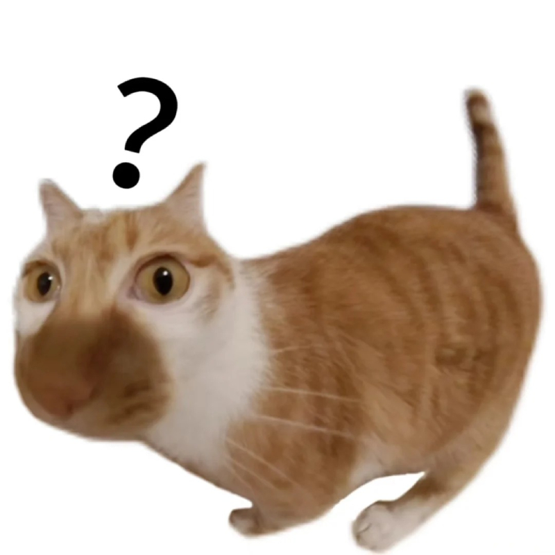 meme mèo bựa hài