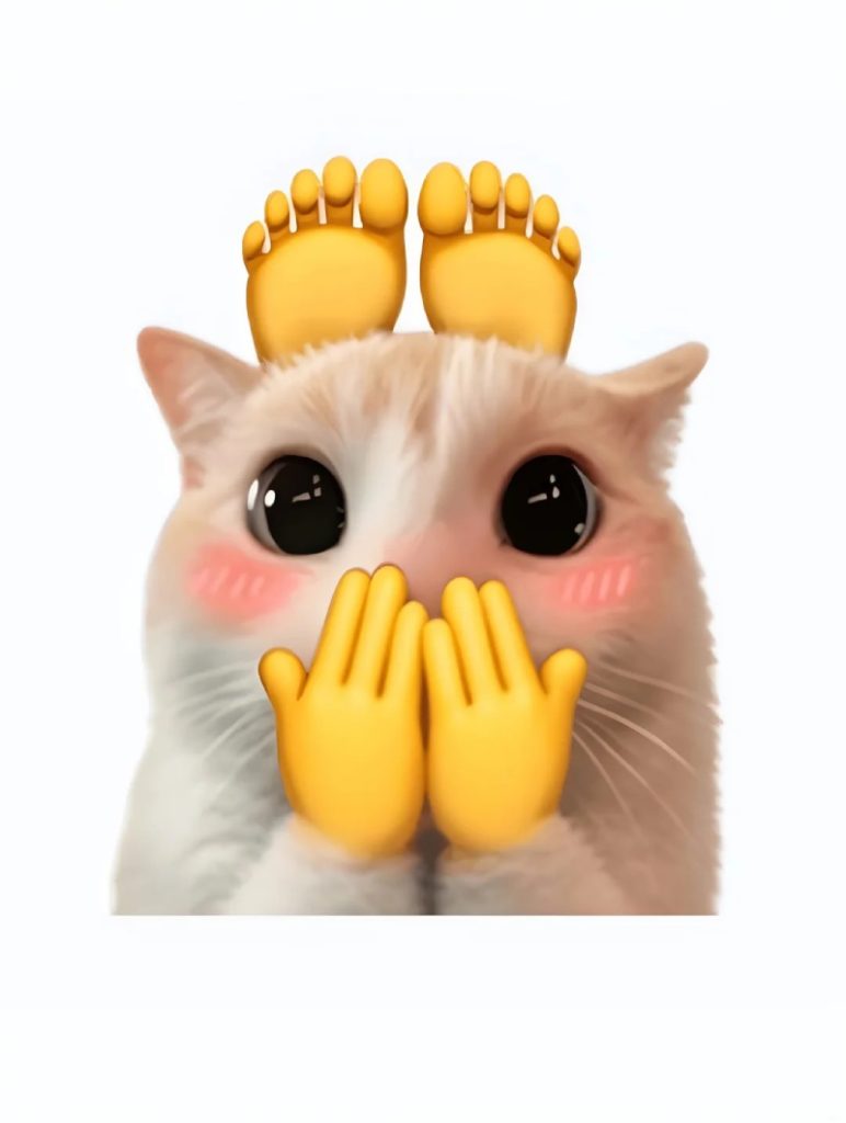 meme mèo con với biểu cảm bất ngờ