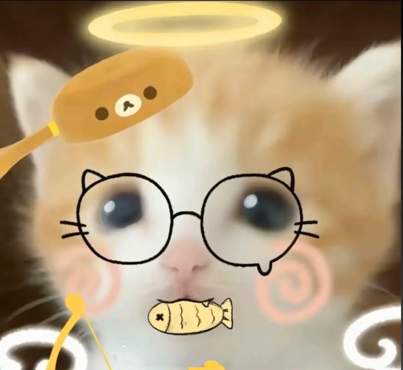 meme mèo cute anime