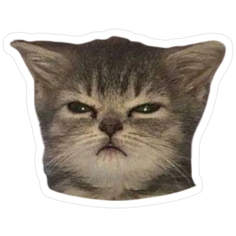 meme mèo cute biểu cảm