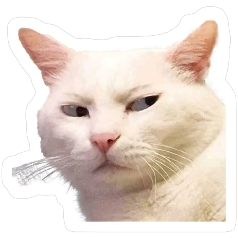 meme mèo cute vui vẻ