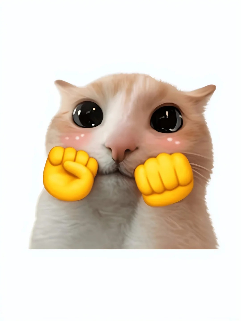 meme mèo phản ứng cực kỳ hài hước