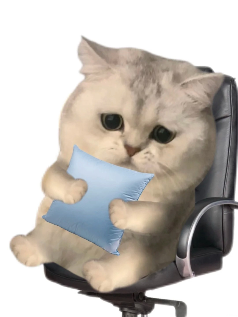 mèo meme ngộ nghĩnh đáng yêu