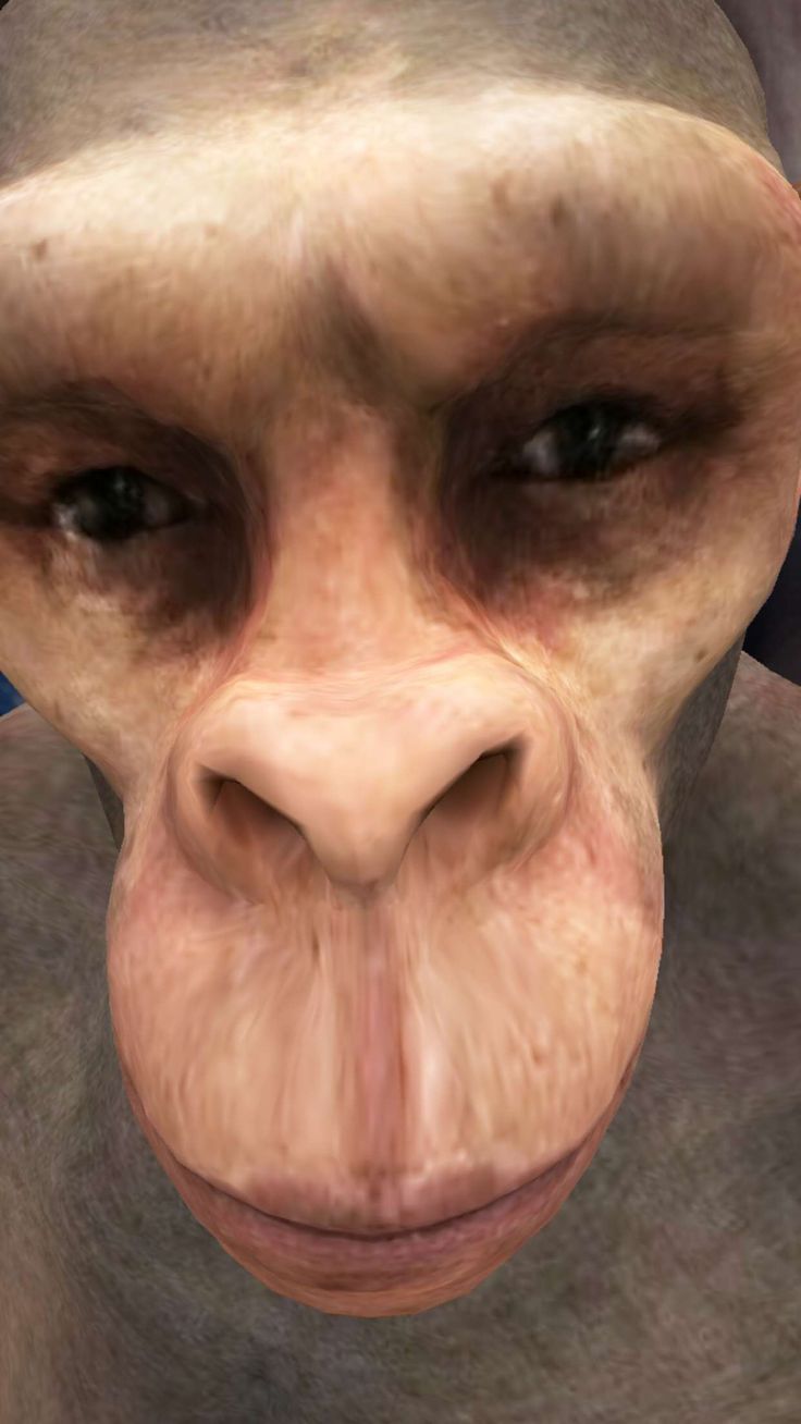 mewing meme 18