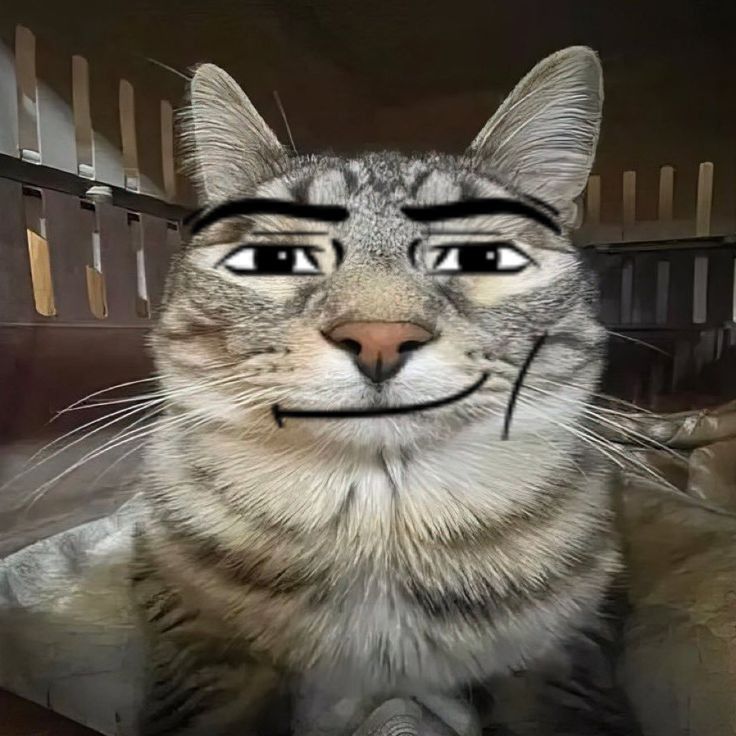 mewing meme 29