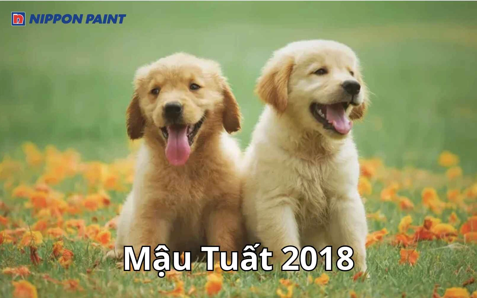 Người sinh năm 2018 thuộc tuổi Mậu Tuất, cầm tinh con chó