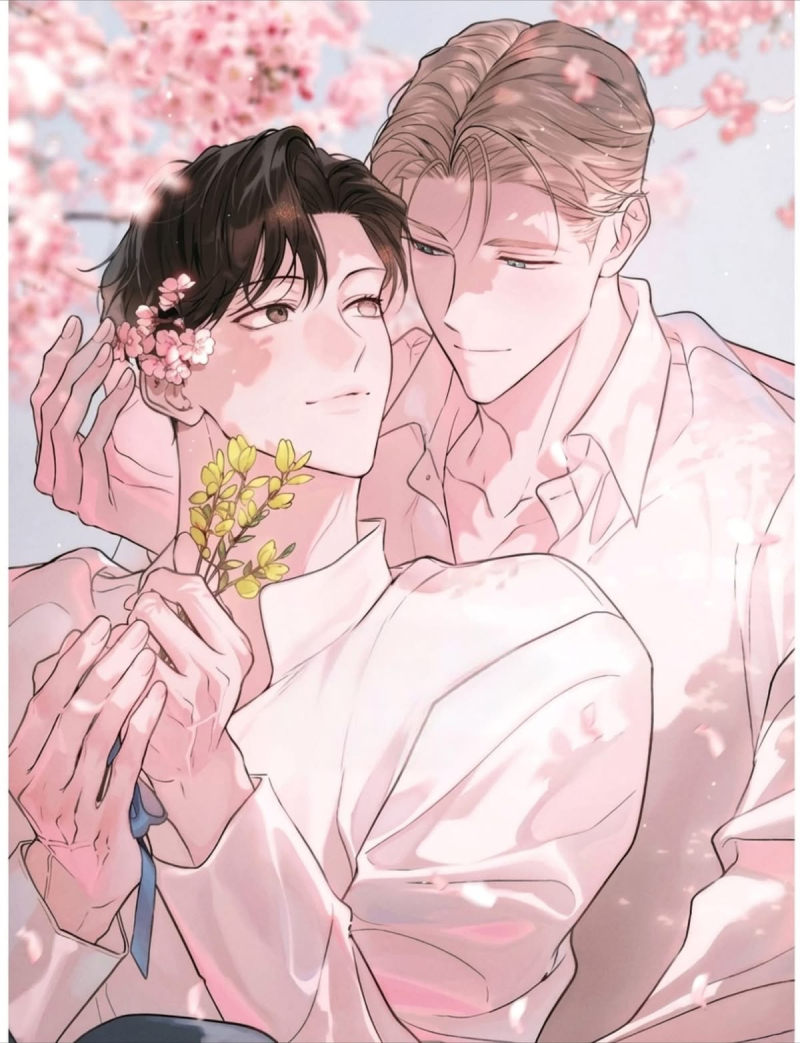 bộ sưu tập ảnh sẽ gầy anime