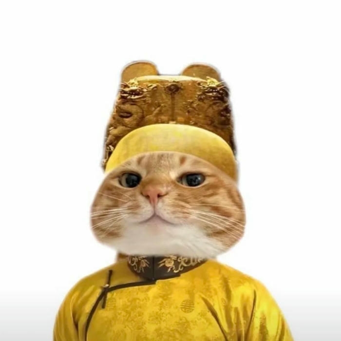 Ảnh meme mèo mang dáng vẻ ngây ngô dễ mến
