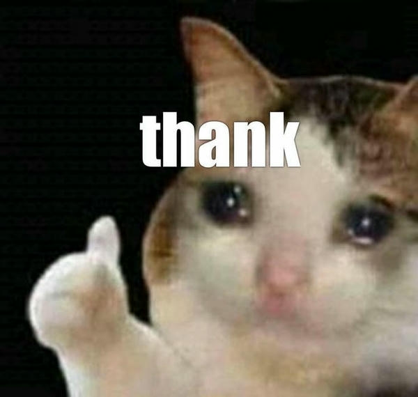 Cảm ơn meme với cách nói lời biết ơn thú vị
