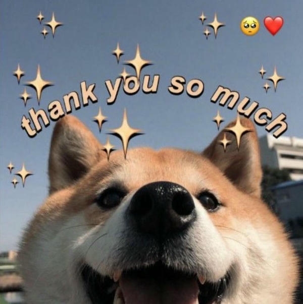 Cảm ơn meme với thông điệp cảm kích thật gần gũi