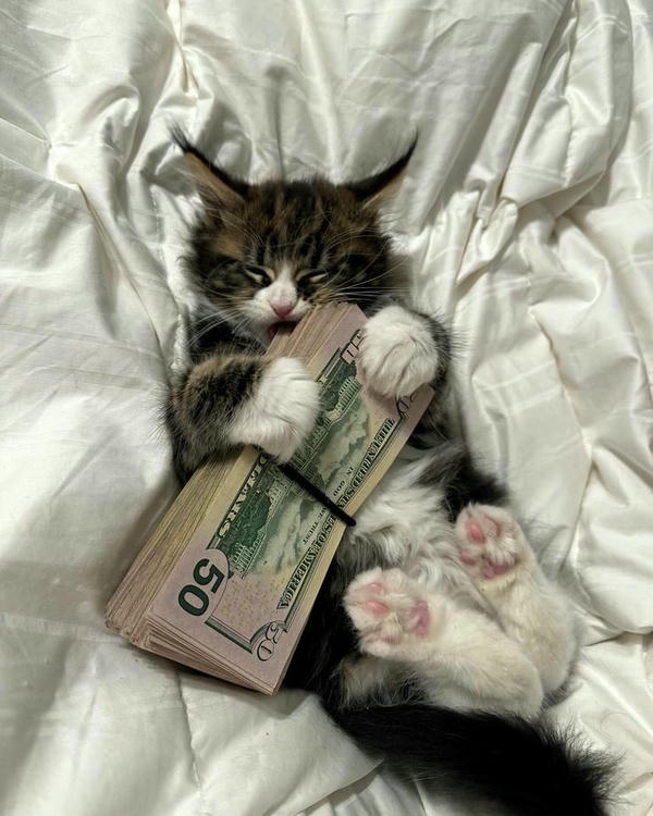 Hình ảnh chi tiêu được thể hiện qua meme