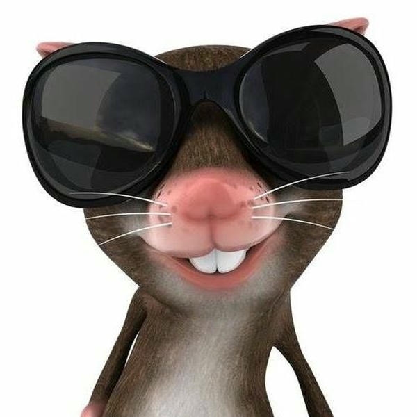 Meme chế độc đáo với thần thái lém lỉnh sinh động
