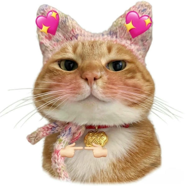 Meme cute mang biểu cảm ngộ nghĩnh đầy sức hút