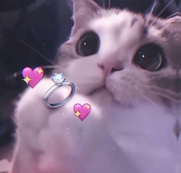 Meme cute thể hiện nét mặt hồn nhiên dễ mến