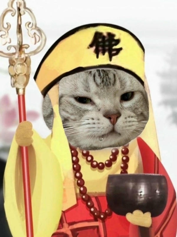 Meme dễ thương sở hữu diện mạo tươi tắn