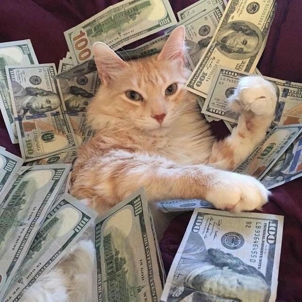 Meme tiền hình ảnh đời thường xem là thấy thấm