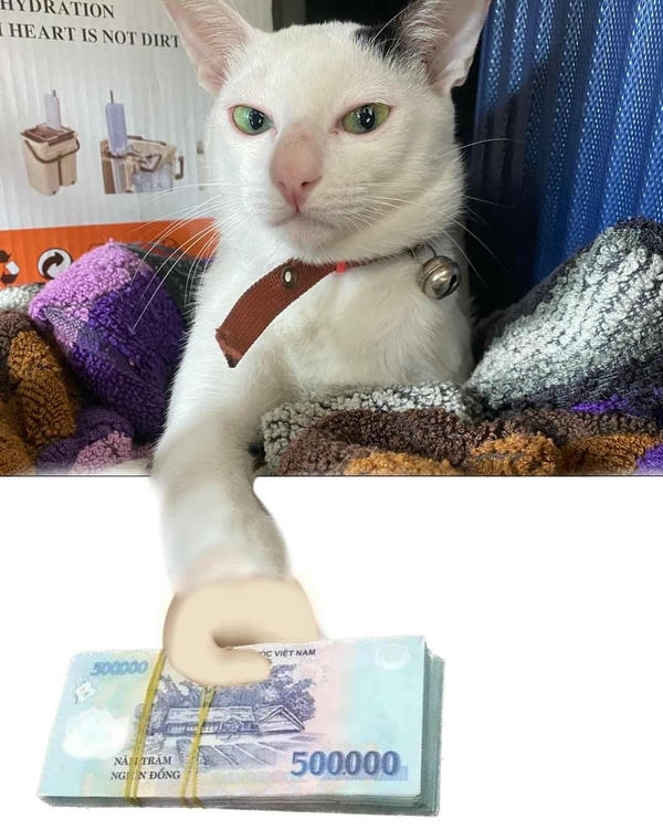 Meme tiền lột tả cảnh tiêu dè sẻn mỗi