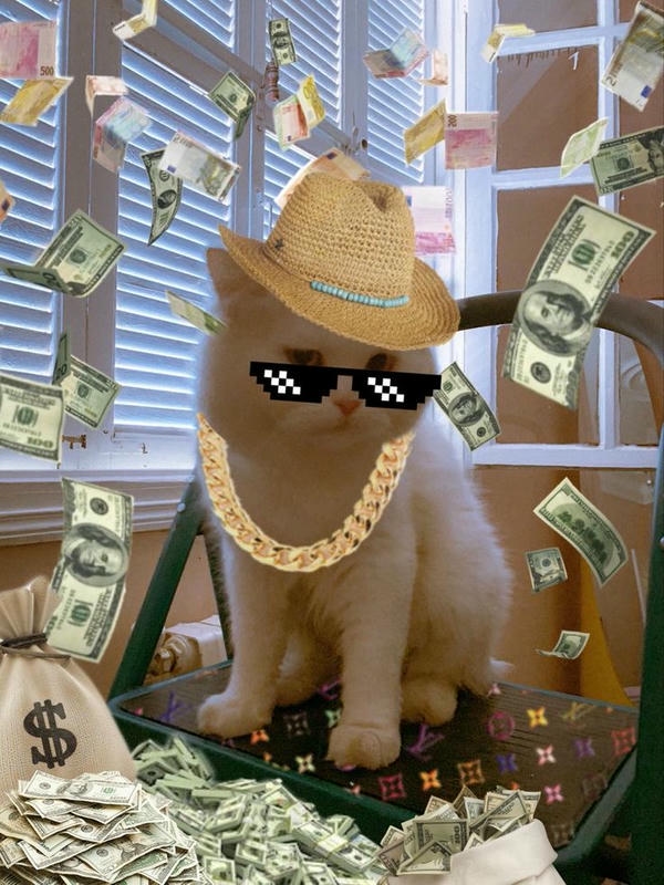 Meme tiền thể hiện niềm vui khi nhận lương
