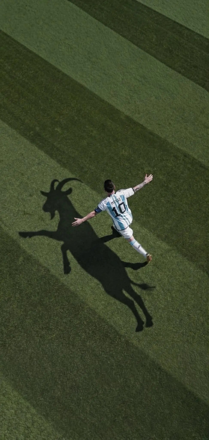 ảnh Messi thi đấu trên sân cỏ