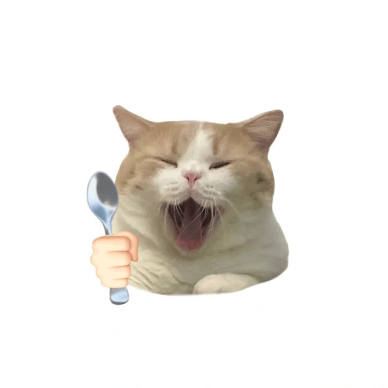ảnh chế meme mèo bựa biểu cảm hài hước
