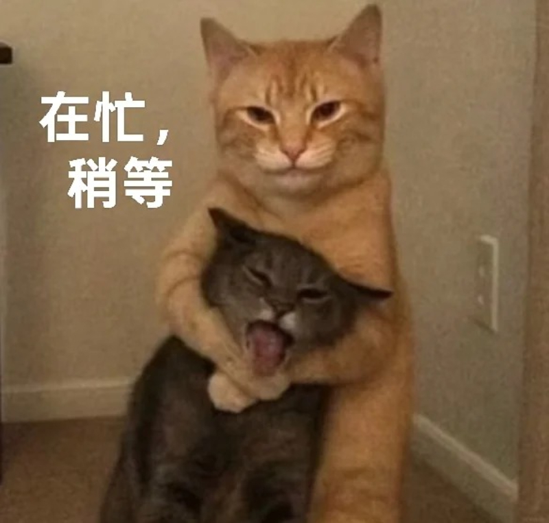 ảnh chế meme mèo bựa cực kỳ vui nhộn