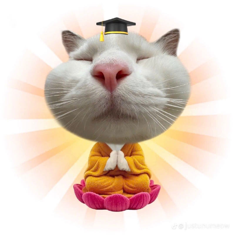 ảnh chế meme mèo bựa hài nhất