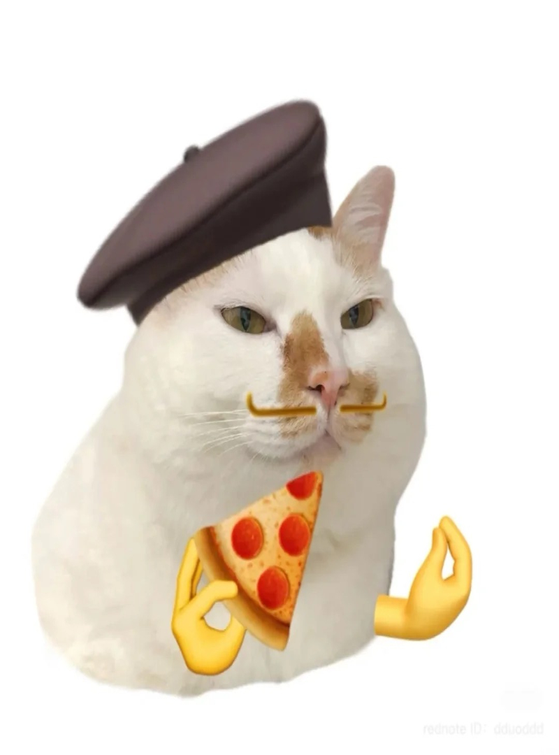 hình ảnh mèo bựa chế meme cực hài