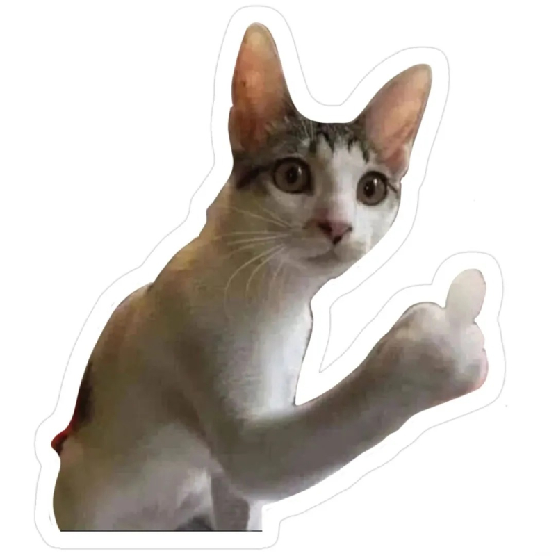meme mèo bựa hài hước và lầy lội